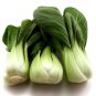 Top-Quality Pak Choy Canton Chinese Cabbage Heirloom Seeds - B55
