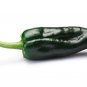 Best-Selling Heirloom Ancho Poblano Pepper Seeds - Capsicum annuum var. annuum - B60