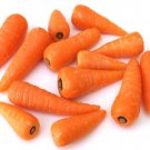 New Arrival Carrot Little Fingers Heirloom Seeds - B180
