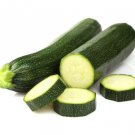 Top-Quality Heirloom Black Beauty Zucchini Seeds - Cucurbita pepo - B337