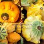 New Arrival Shenot's Crown of Thorns Gourd Seeds or Ten Commandments bin93
