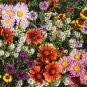 Limited Edition Bird, Butterfly & Bee Wildflower Seed Mix - S12