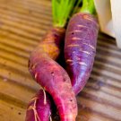 Exclusive Cosmic Purple Carrot Heirloom Garden Seeds - B168