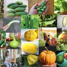 New Arrival Select Packets from List: Gourd Cucumber Pumpkin Luffa Squash Heirloom Melon
