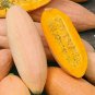 Exclusive Pink Banana Winter Squash Seeds binM5