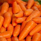New Arrival Tendersweet Carrot Seeds - C120