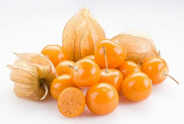 Best-Selling Ground Cherry Tomatillo Seeds - Physalis peruviana - B270