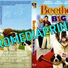 Beethoven's Big Break (2008) Blu-ray Beethoven's Big Break (2008) Blu-ray