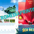 The Sea Beast (2022) DVD