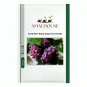 'Little Bee' Black Grape Fruit - 100 PCS Seeds