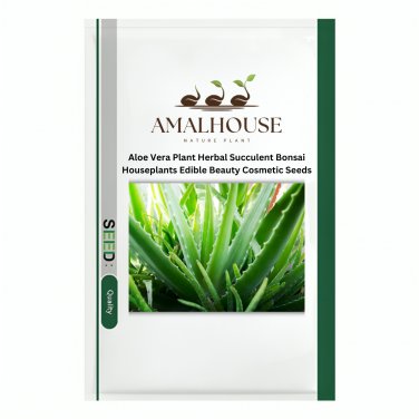 Aloe Vera Plant Herbal Succulent Bonsai Houseplants Edible Beauty Cosmetic - 50 PCS Seeds