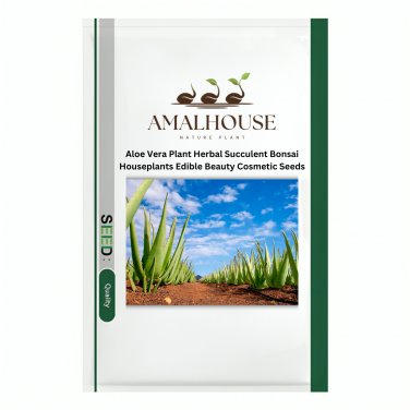 Aloe Vera Plant Herbal Succulent Bonsai Houseplants Edible Beauty Cosmetic - 100 PCS Seeds
