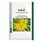 Amaranthus Tricolor (Bright Yellow Green) - 200 PCS Seeds