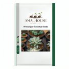 ariocarpus fissuratus - 10 PCS Seeds