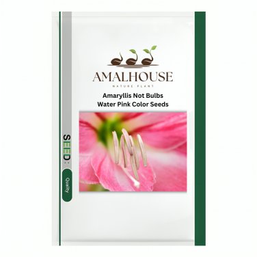 Amaryllis Not Bulbs Water Pink Color - 100 PCS Seeds