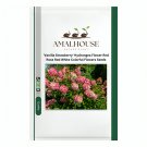 'Vanilla Strawberry' Hydrangea Flower Red Rose Red White Colorful Flowers - 20 PCS Seeds