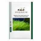 Aquarium Grass Aquatic Fish Tank Decor Water Plants - 1000 PCS Seeds