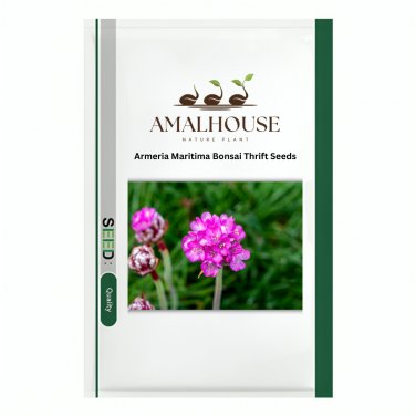 Armeria Maritima Bonsai Thrift - 50 PCS Seeds