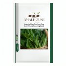 Asian Yu Choy Choi Sum Choy Sum Chinese Flowering - 3600 PCS Seeds