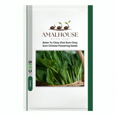 Asian Yu Choy Choi Sum Choy Sum Chinese Flowering - 3600 PCS Seeds