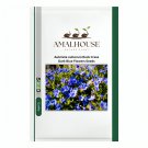 Aubrieta cultorum Rock Cress Dark Blue Flowers - 100 PCS Seeds