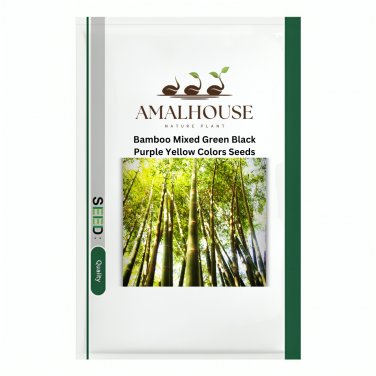 Bamboo Mixed Green Black Purple Yellow Colors - 60 PCS Seeds