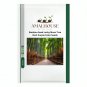 Bamboo Lucky Moso Tree Dark Purple Color - 50 PCS Seeds