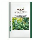 Ball Conophytum vanzylii Cactus Bonsai Rare Succulent Plant Bonsai Celestial Flower - 100 PCS Seeds