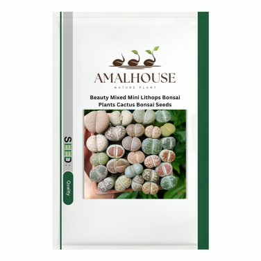 Beauty Mixed Mini Lithops Bonsai Plants Cactus Bonsai - 100 PCS Seeds