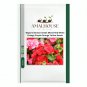 Begonia Bonsai Mixed Red White Orange Purple Orange Yellow - 100 PCS Seeds