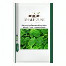 Big round leaf spinach Giant Noble spinach Persia vegetable - 600 PCS Seeds