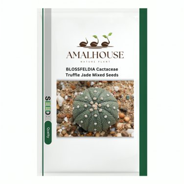 BLOSSFELDIA Cactaceae Truffle Jade Mixed - 10 PCS Seeds