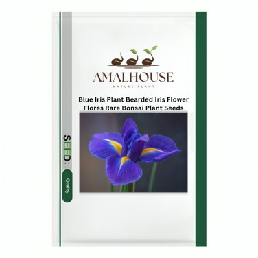 Blue Iris Plant Bearded Iris Flower Flores Rare Bonsai Plant - 200 PCS Seeds