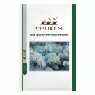 Blue Spruce Tree Picea Tree - 100 PCS Seeds