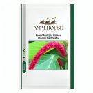 Bonsai Acalypha Hispida Chenille Plant - 100 PCS Seeds