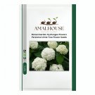 Bonsai Garden Hydrangea Flowers Perennial Little Tree Flower - 100 PCS Seeds