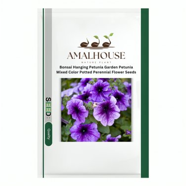 Bonsai Hanging Petunia Garden Petunia Mixed Color Potted Perennial Flower - 200 PCS Seeds