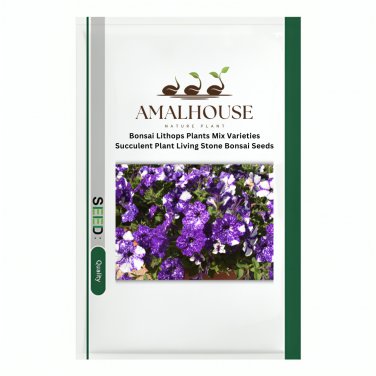 Bonsai Petunia Garden Bonsai Moon Night Sky Double Purple Flowers - 200 PCS Seeds