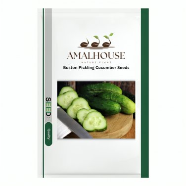 Boston Pickling Cucumber - 5 PCS Seeds