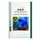 Bougainvillea Blue Colors - 50 PCS Seeds