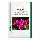 Bougainvillea Red Flowers - 50 PCS Seeds