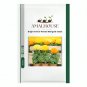 Bright Yellow Potted Marigold - 50 PCS Seeds