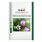 Bougainvillea Spectabilis Willd Triangles Plum Bonsai Potted Flower Plant - 100 PCS Seeds