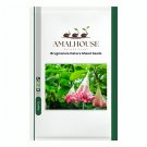 Brugmansia Datura Mixed - 100 PCS Seeds