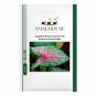 Caladium Bicolor Green Pink Bicolor Leaves - 100 PCS Seeds