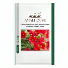 Calibrchoa Million Bells Annual Flower Rose Red Flowers - 100 PCS Seeds
