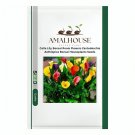 Calla Lily Bonsai Room Flowers Zantedeschia Aethiopica Bonsai Houseplants - 100 PCS Seeds