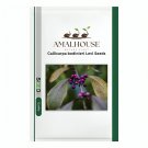 Callicarpa bodinieri Levl - 50 PCS Seeds