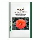 Camellia Flores Bright Orange Color - 50 PCS Seeds