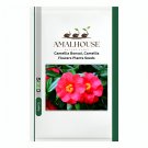 Camellia Bonsai, Camellia Flowers Plant - 50 PCS Seeds